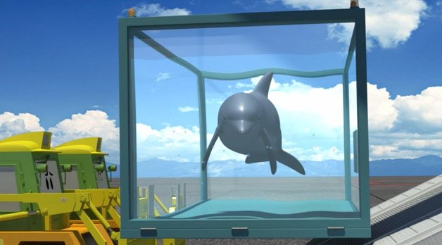 Returning the Baby Dolphin - Episode 23