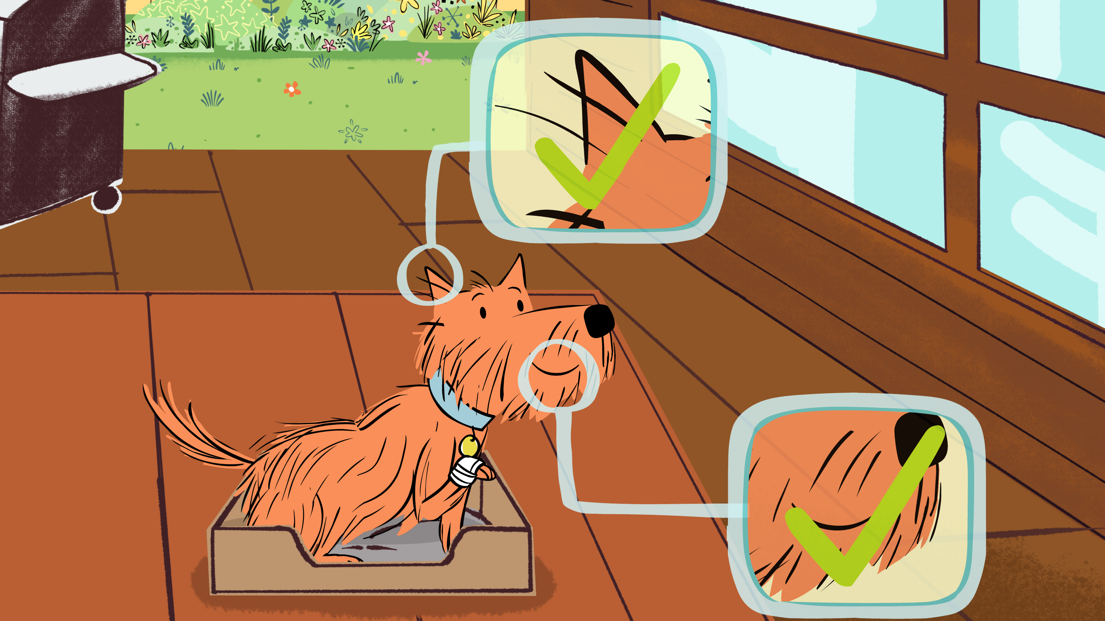 Dog Doc Dot