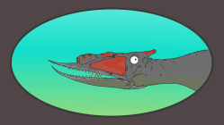 M is for Microraptor