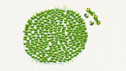 999 Tadpoles