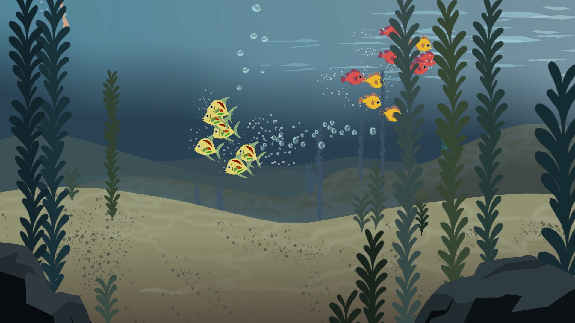 Kelpmania