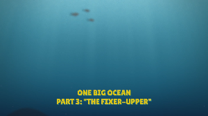 One Big Ocean Part 3: The Fixer Upper