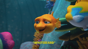 Whitebeard