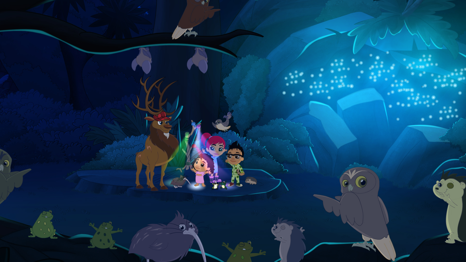 Awake at Night Nocturnal Animals