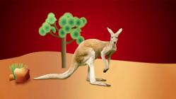 The Kangaroo - Episode 10