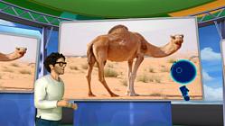 Camels - Episode 118