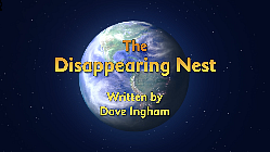 The Disappearing Nest