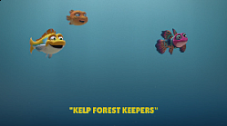 Kelp Forest Keepers