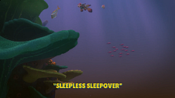 Sleepless Sleepover