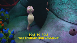 Pole-To-Pole Part 1: Migration Vacation