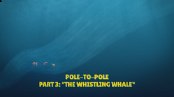 Pole-To-Pole Part 3: The Whistling Whale